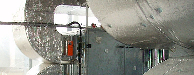 ilustr-2